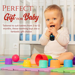 Silicone Remote Teether Baby Toy